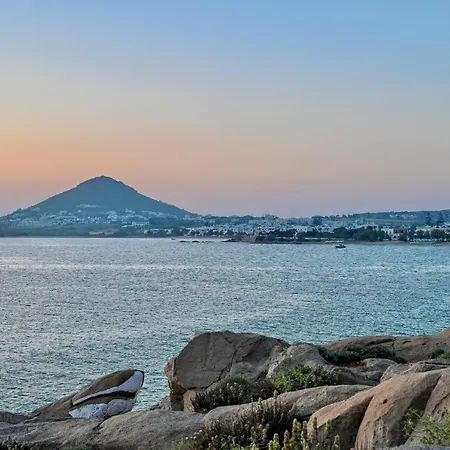 아파트 Boa Agia Anna (Naxos)